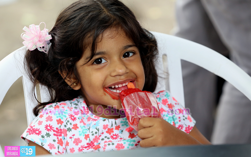 paletas
